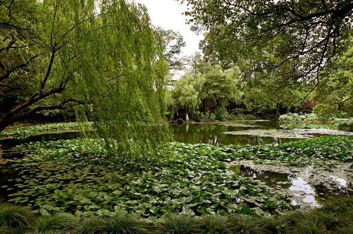 Hangzhou_28 (700x464, 521Kb)