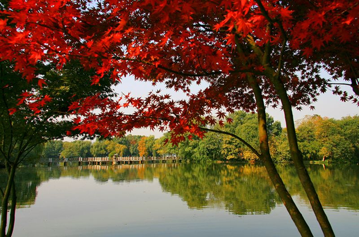 Hangzhou_45 (700x462, 467Kb)