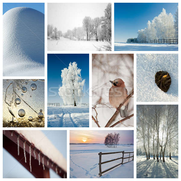 921809_stock-photo-winter-collage (600x600, 170Kb)