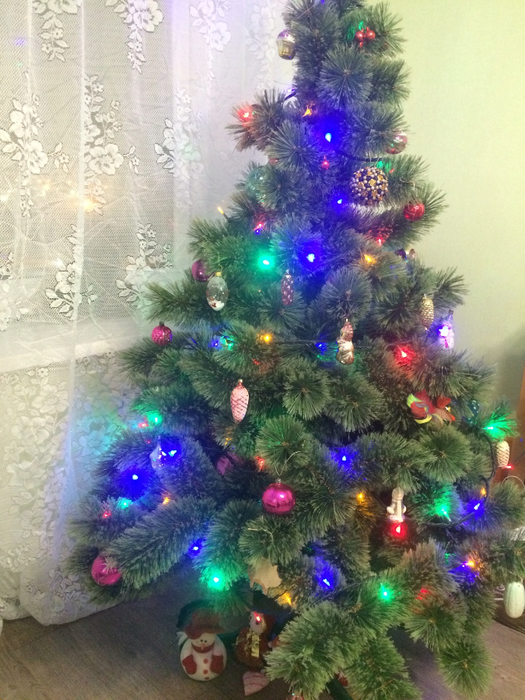 IMG_8701-25-12-18-12-13 (525x700, 444Kb)