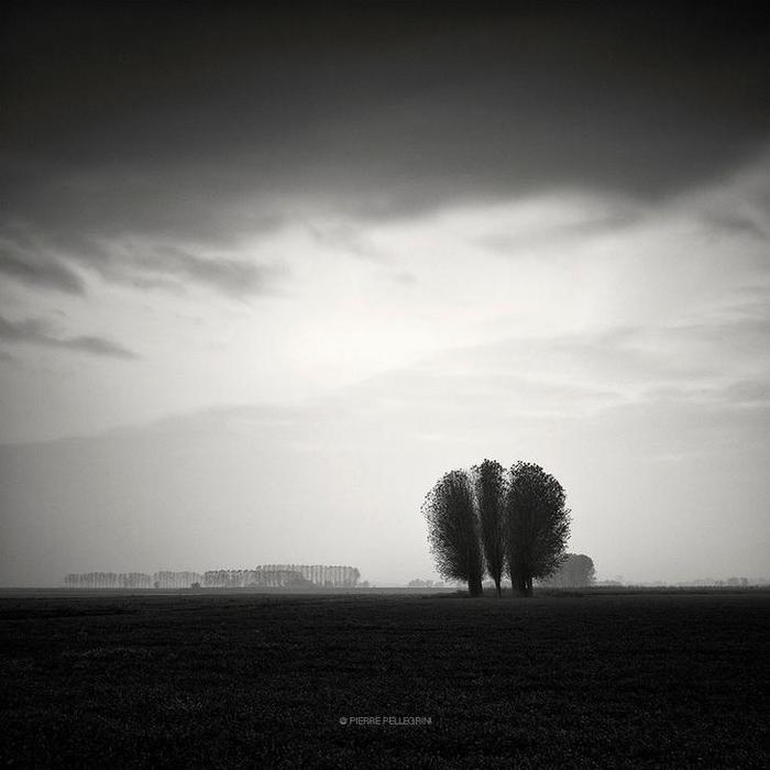 Швейцарского фотографа Пьера Пеллегрини 3 (700x700, 33Kb)