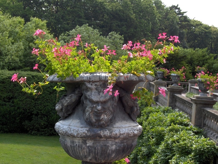 old-westbury-gardens-26 (700x527, 218Kb)