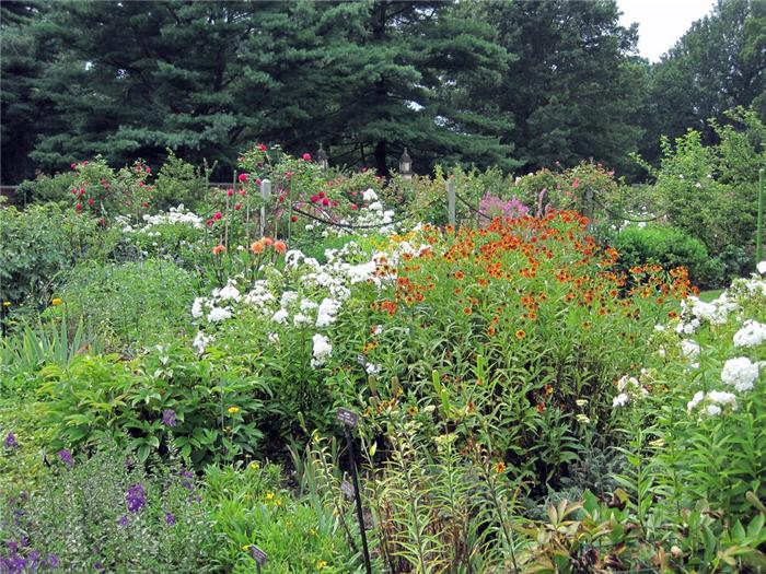 old-westbury-gardens-34 (700x525, 111Kb)