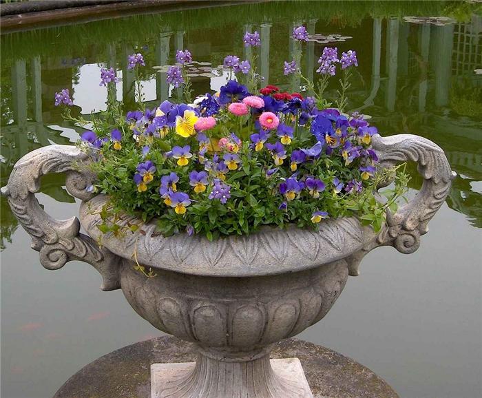 old-westbury-gardens-36 (700x578, 79Kb)