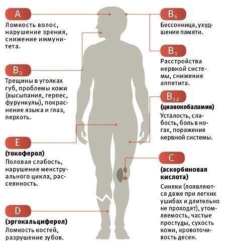 3470549_vitamin_1_ (450x484, 54Kb)