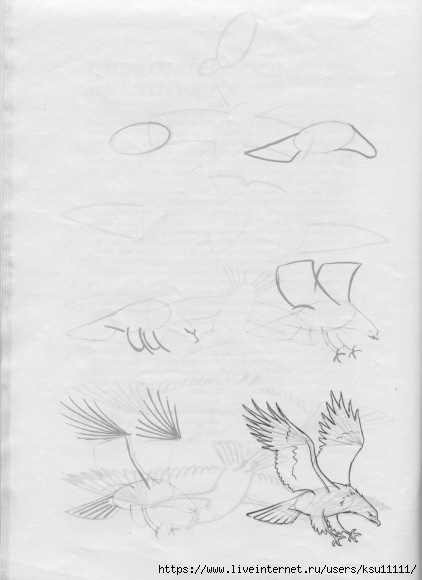50 .page11 (422x580, 91Kb)
