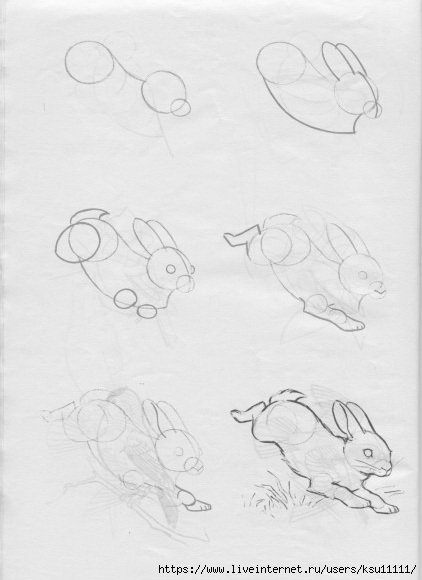 50 .page15 (422x580, 96Kb)