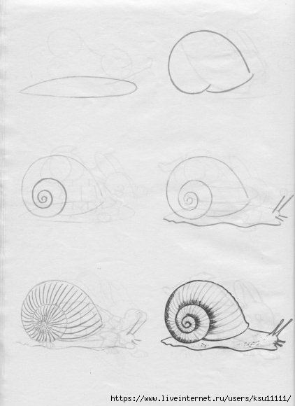50 .page17 (422x580, 95Kb)