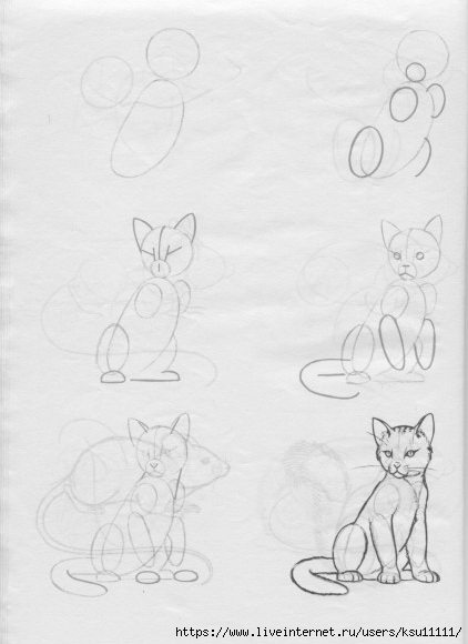 50 .page21 (422x580, 97Kb)