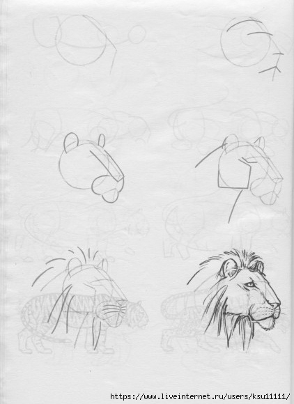 50 .page25 (422x580, 99Kb)