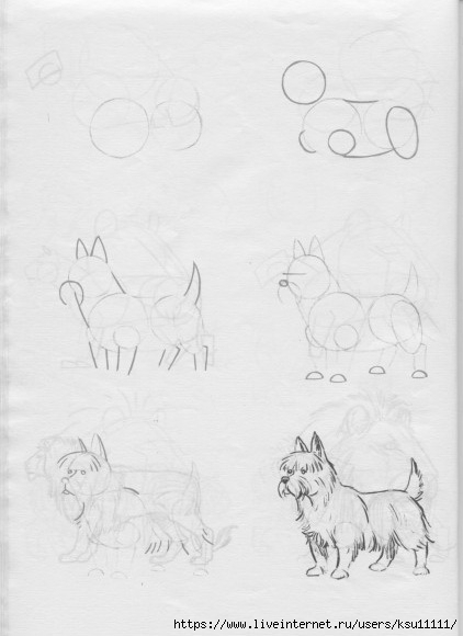 50 .page27 (422x580, 95Kb)