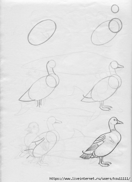 50 .page41 (422x580, 92Kb)