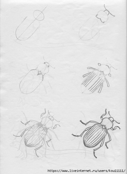 50 .page57 (422x580, 97Kb)