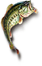 fish (136x213, 56Kb)