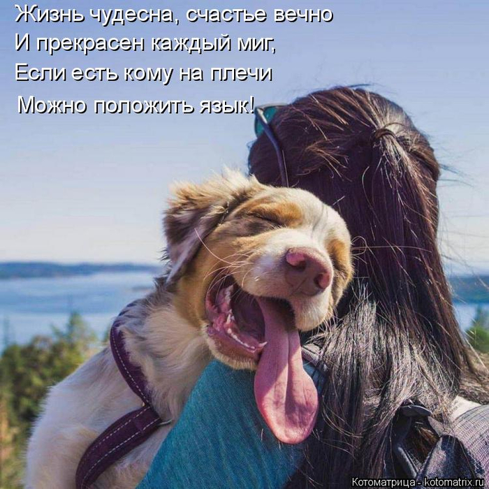 kotomatritsa_m (3) (700x700, 471Kb)