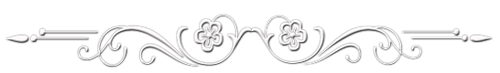 0_d6ff3_1cdd7120_L (500x73, 31Kb)