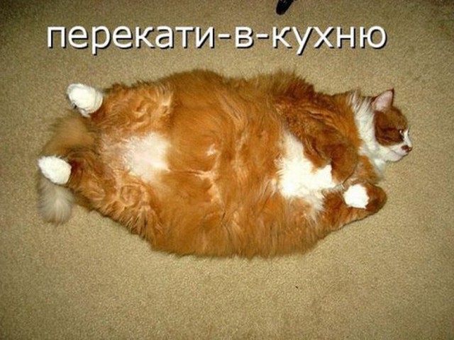 76823_177f (640x480, 79Kb)