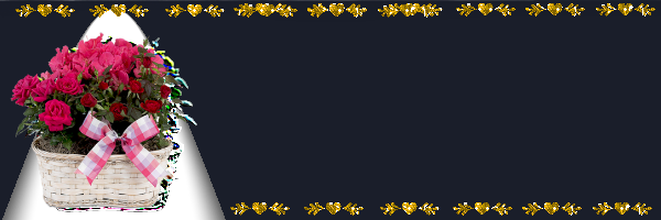   (600x200, 73Kb)