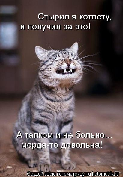 kotomatritsa_5 (410x591, 140Kb)
