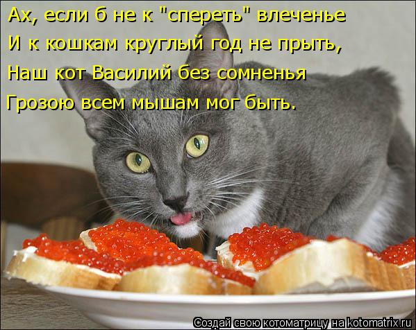 kotomatritsa_I (599x476, 242Kb)