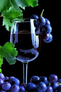 4059776_Vino_v_bokale_vinograd (236x353, 15Kb)