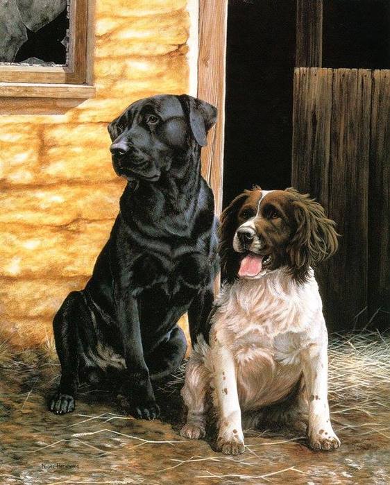 5Живопись... - художник Nigel Hemming. (562x700, 80Kb)