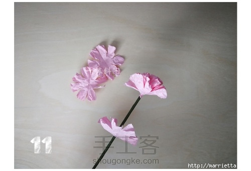 Бумажные цветы - гвоздики своими руками (11) (500x341, 68Kb)