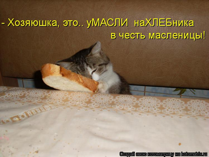 kotomatritsa_CX (700x524, 301Kb)