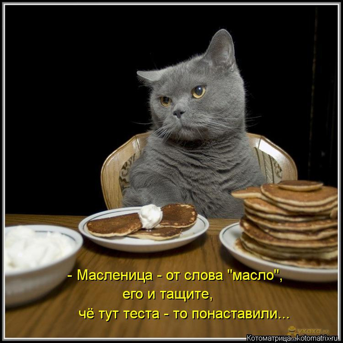 kotomatritsa_PF (700x700, 317Kb)