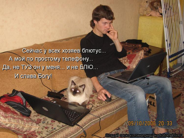kotomatritsa_tP (700x524, 379Kb)