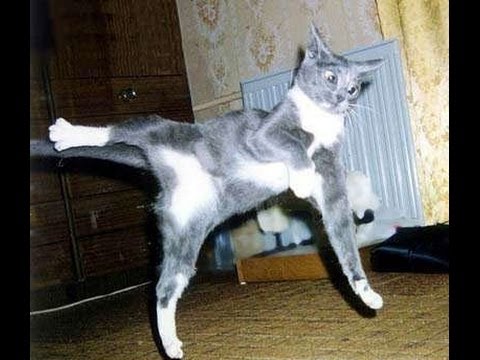 fullsize (1).jpg2 (480x360, 36Kb)