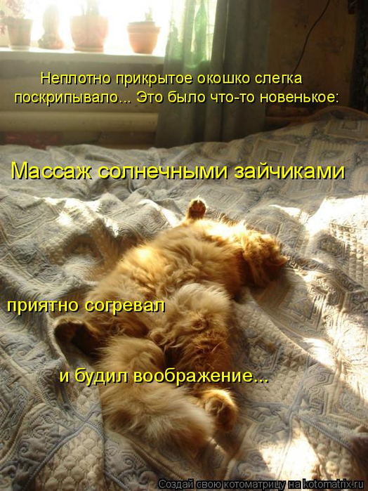 kotomatritsa_7 (524x700, 429Kb)
