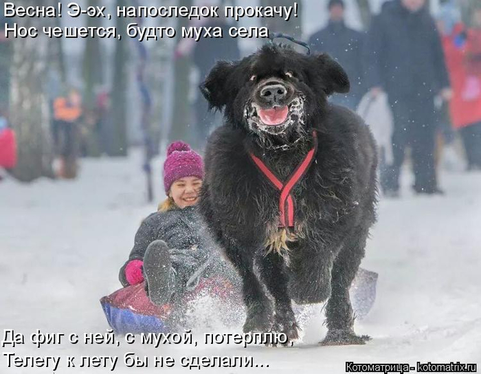 kotomatritsa_KL (700x544, 307Kb)