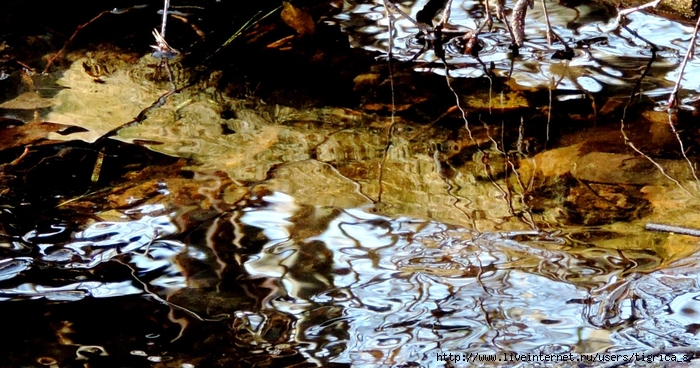 DSCN4064.jpg-7 (700x368, 288Kb)