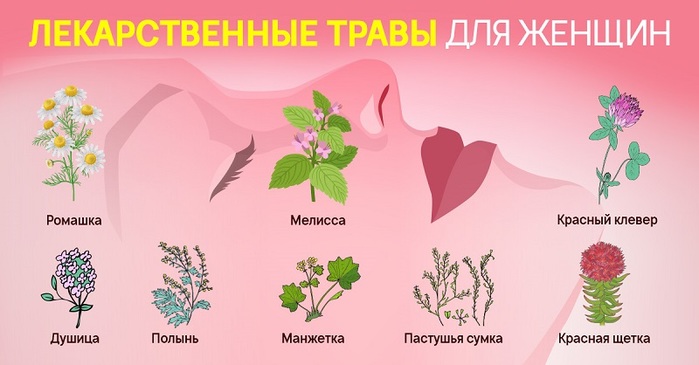 травы для женского здоровья и красоты/4897960_original_1_1_ (700x365, 67Kb)