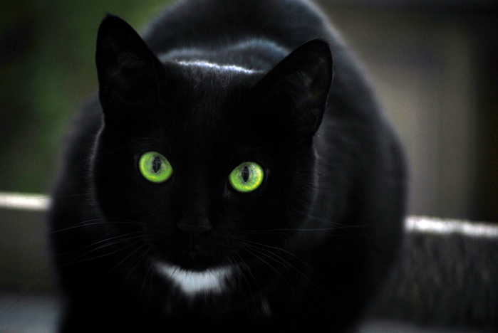 103hemw (700x468, 265Kb)