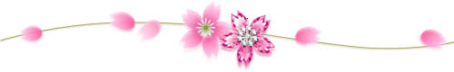 разделитель цветок 1 (500x80, 8Kb)