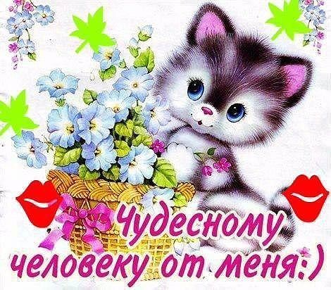 15359940 (470x412, 71Kb)