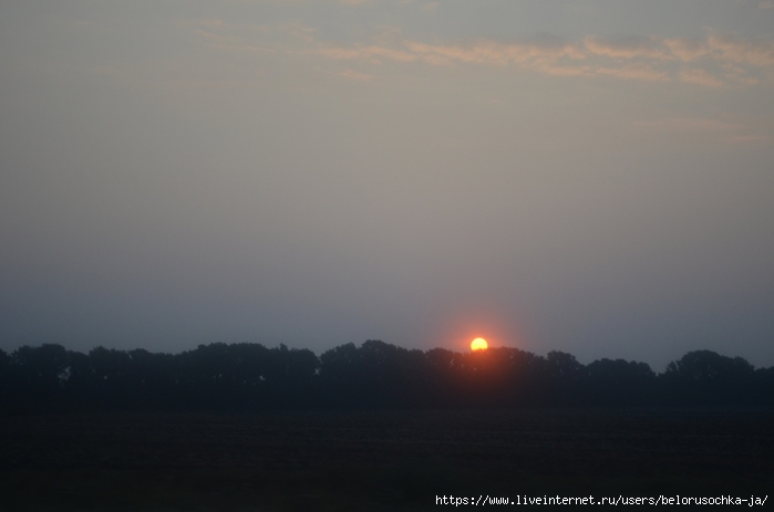 147804581_DSC_0426 (699x463, 123Kb)