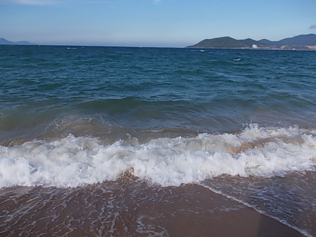 DSCN4170 (640x480, 228Kb)