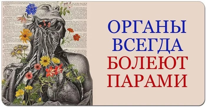 4248238_10 (700x365, 77Kb)