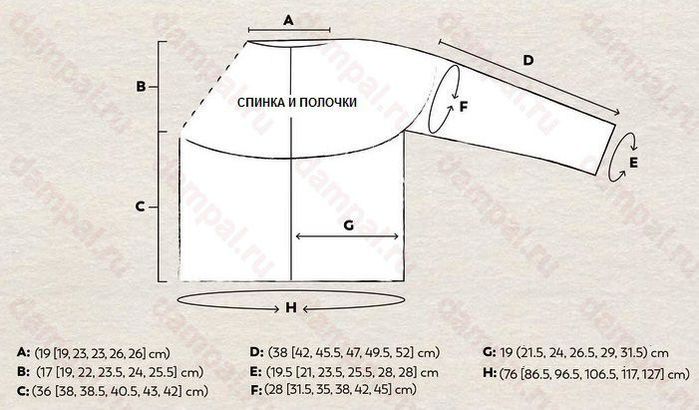 6226115_scallopsvikroyka (700x410, 50Kb)