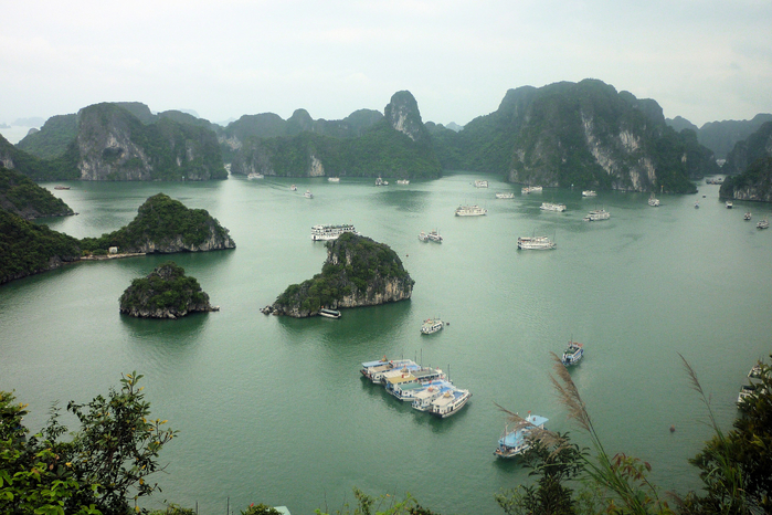 P1070085 (700x466, 431Kb)