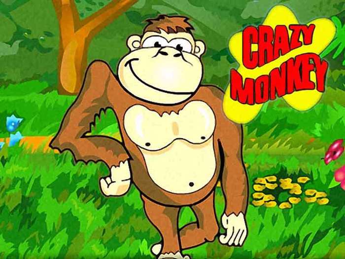 alt="Crazy Monkey   "/2835299_1_1_ (700x525, 52Kb)