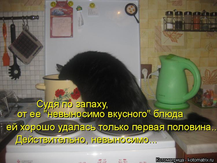 kotomatritsa_L (700x524, 342Kb)