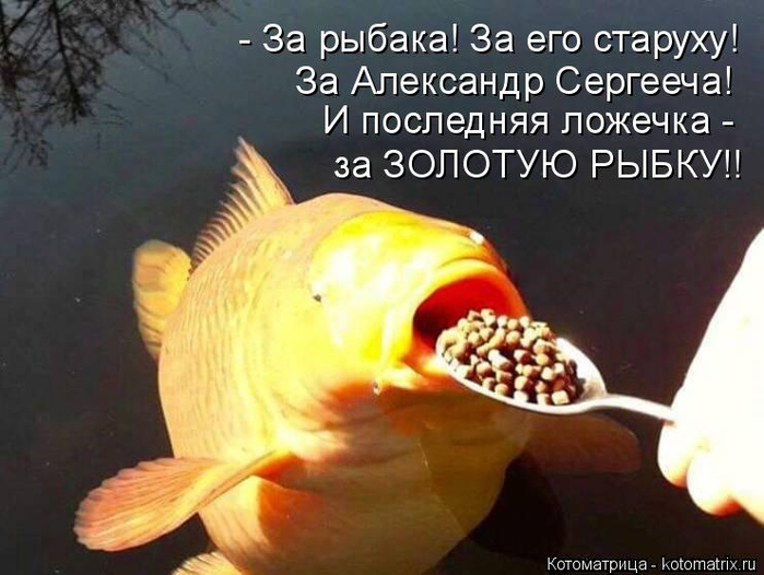kotomatritsa_x (1) (700x526, 306Kb)