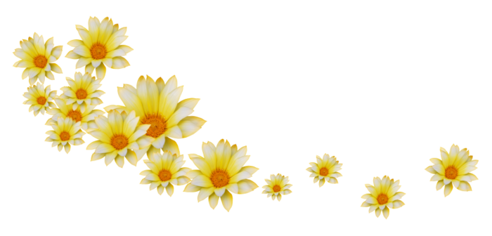 В.Л. цветы (12) (700x336, 135Kb)