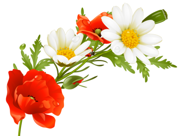 В.Л. цветы (18) (640x474, 220Kb)