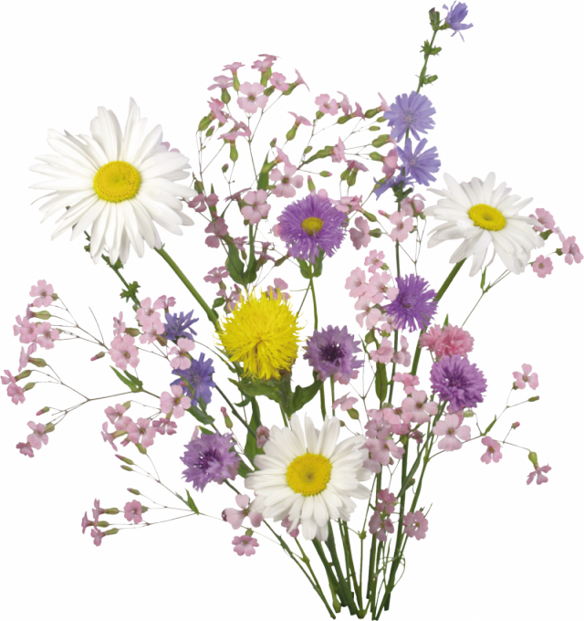 В.Л. цветы (40) (640x680, 571Kb)