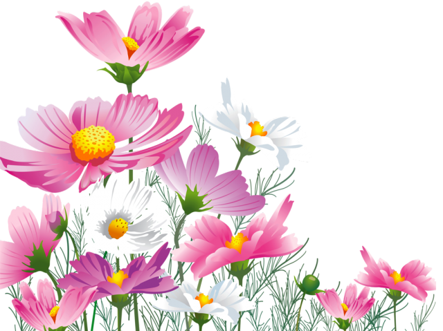 В.Л. цветы (42) (640x479, 326Kb)